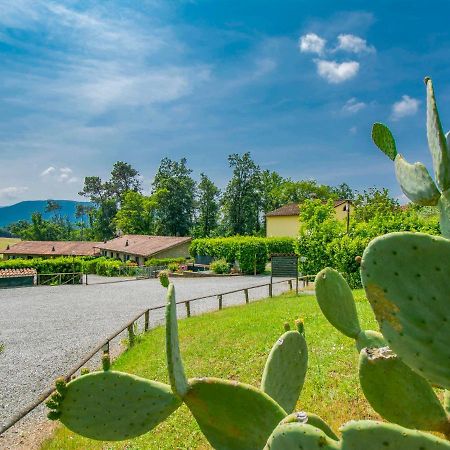 Holiday Home I Pini By Interhome San Macario In Piano Dış mekan fotoğraf